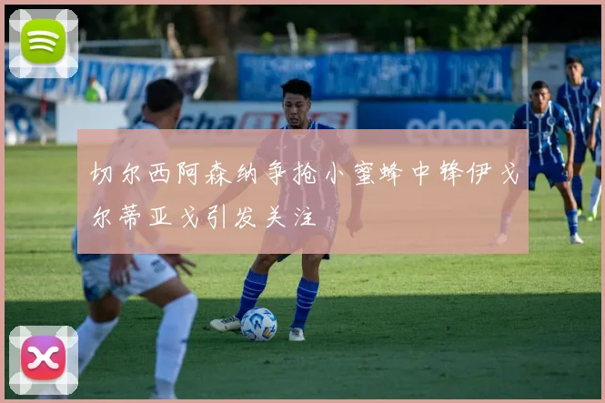 切尔西阿森纳争抢小蜜蜂中锋伊戈尔蒂亚戈引发关注
